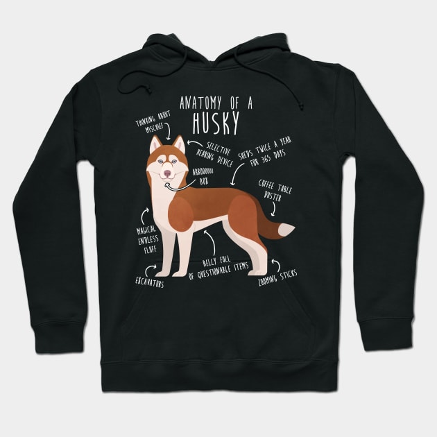 Husky in a hoodie online